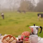 - Barn Nest Pensionat