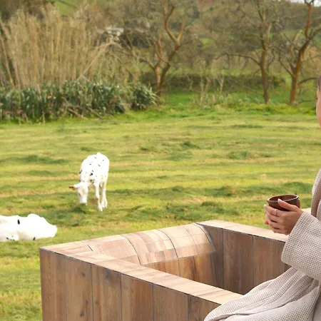 - Barn Nest 3* Várzea