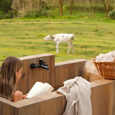 - Barn Nest 3* Várzea