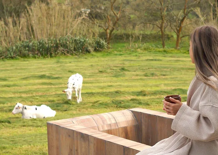 - Barn Nest 3* Várzea