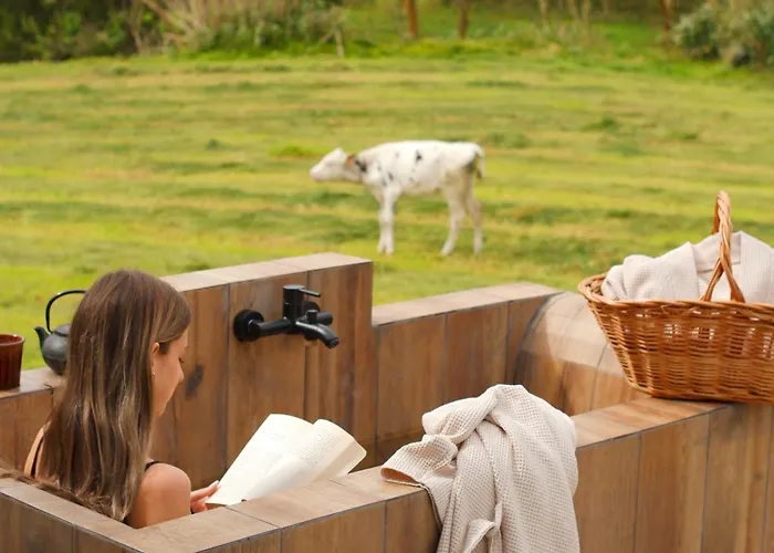 - Barn Nest 3* Várzea