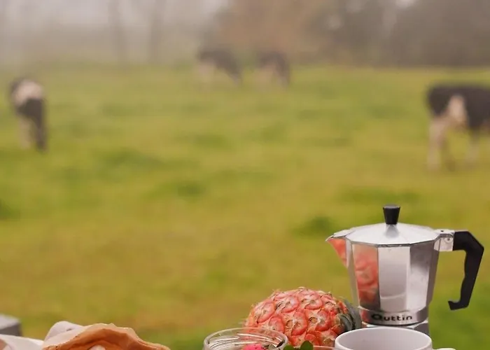 - Barn Nest 招待所